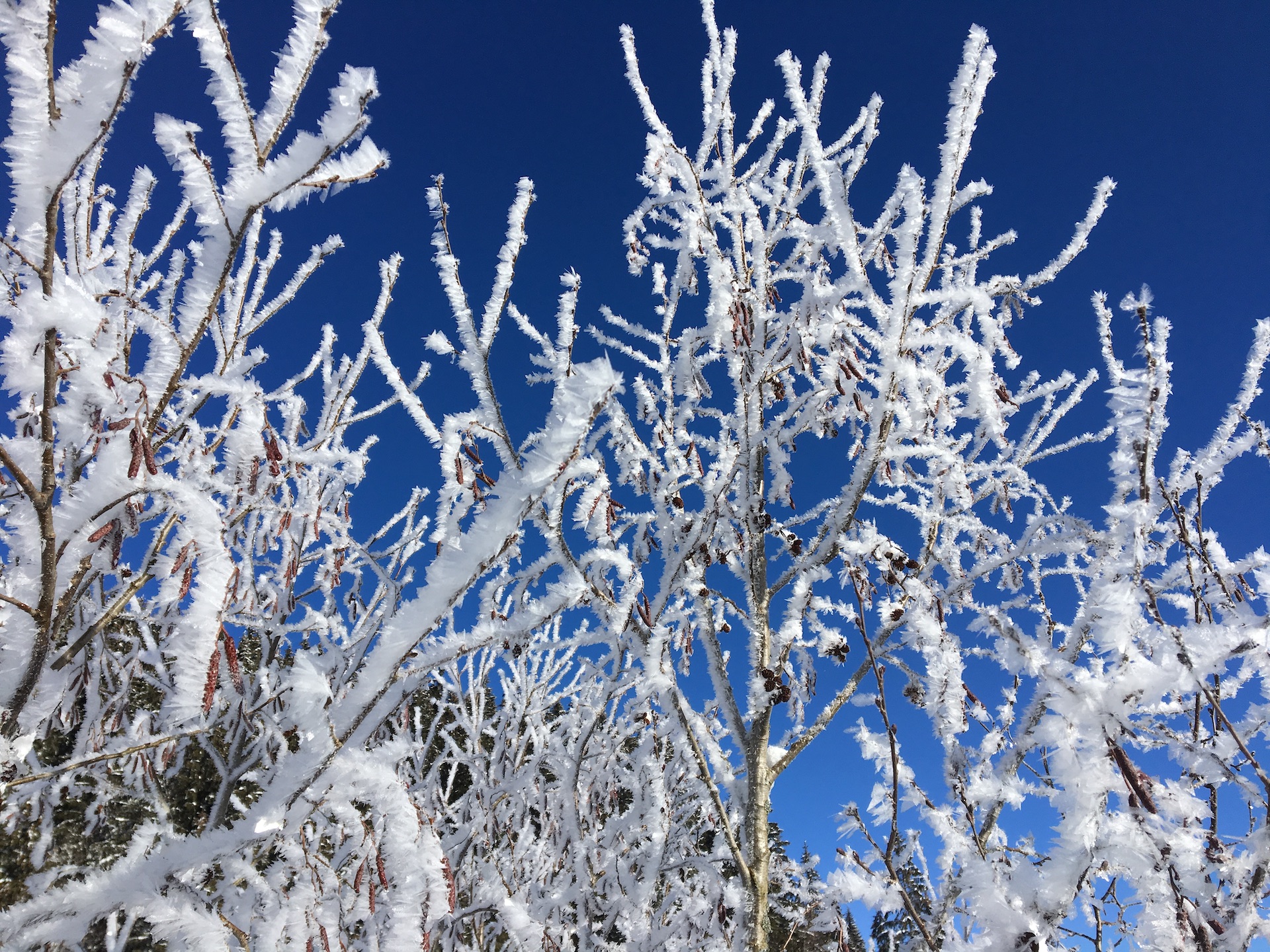 Wintermärchen Wintermärchen