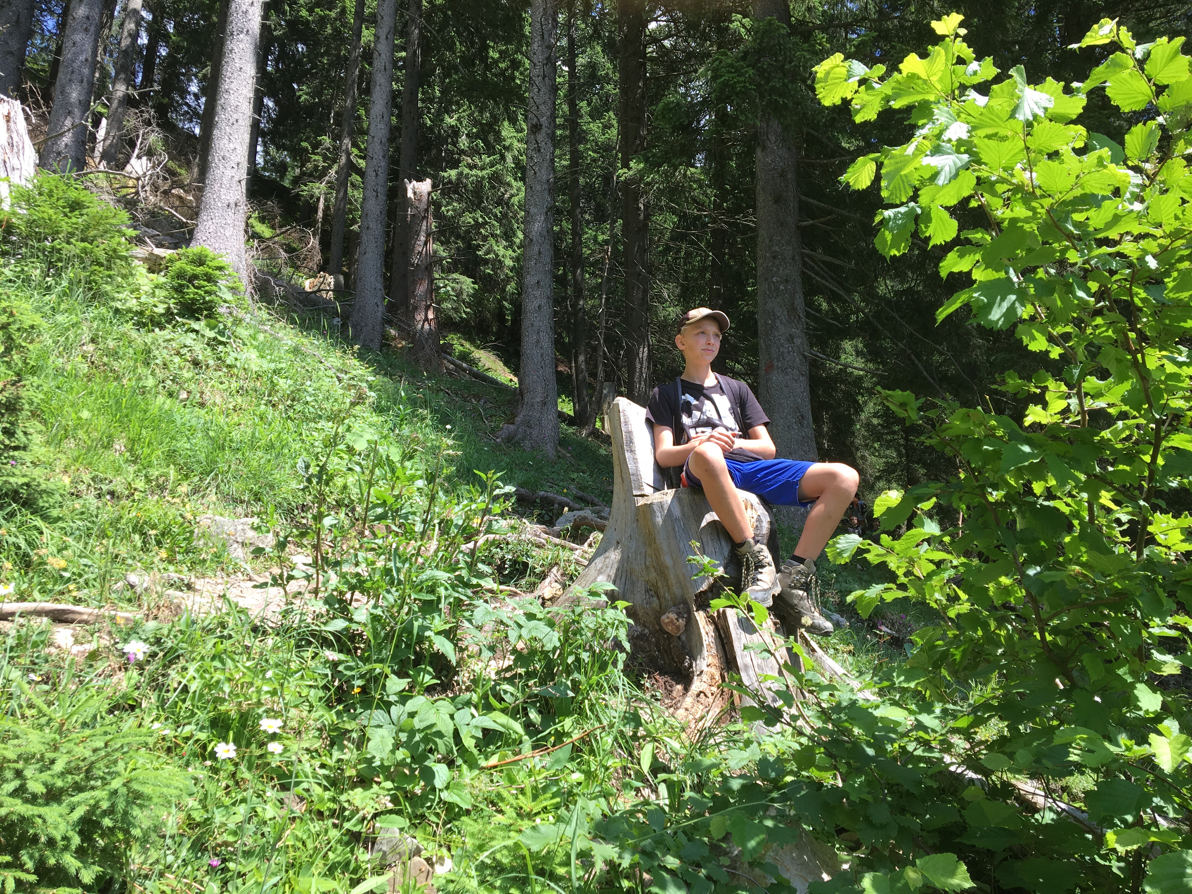Auf die Berge will ich steigen! Auf die Berge will ich steigen!
